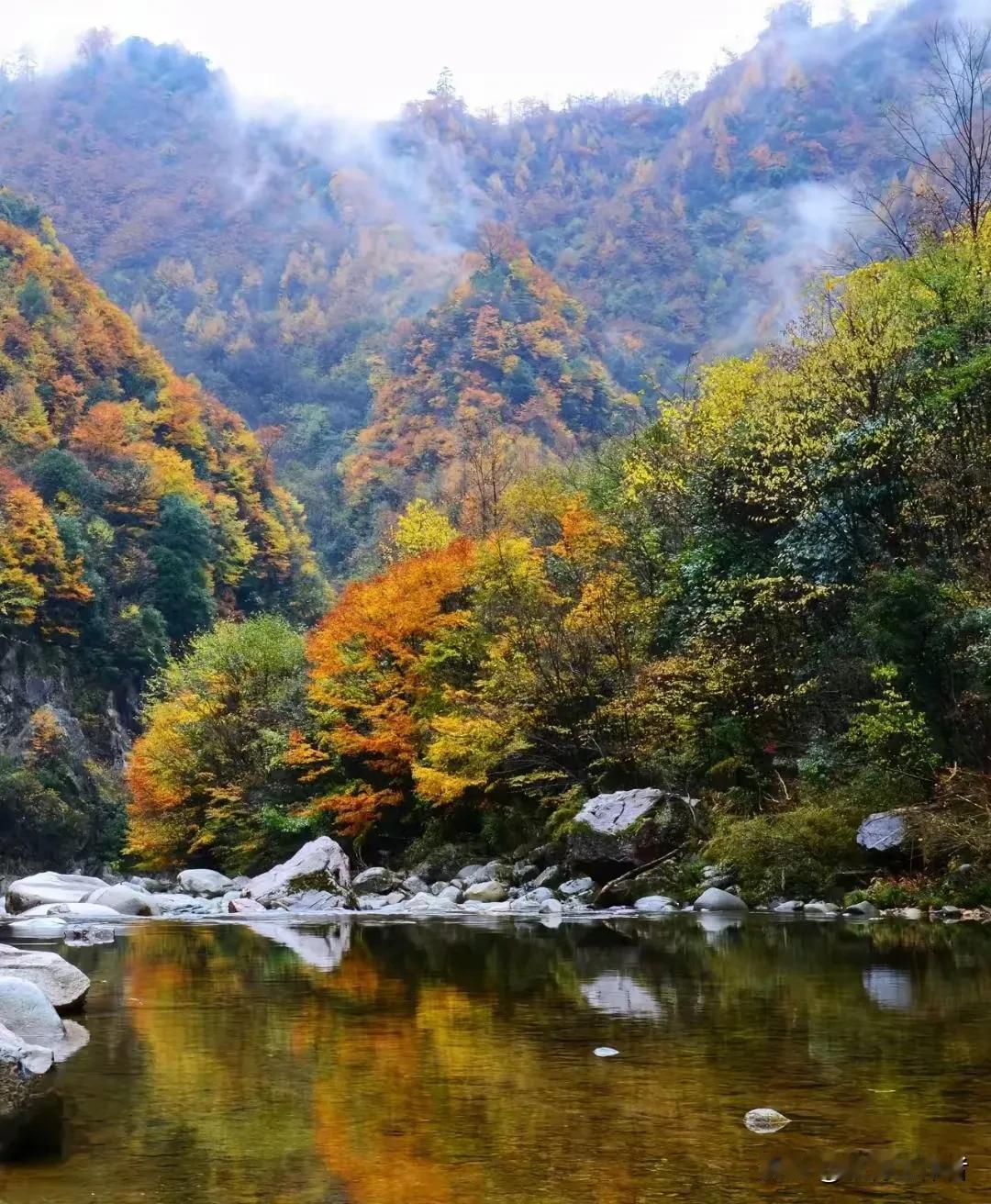 山色秋光里，溪水映丹枫。汉中高山秋色。