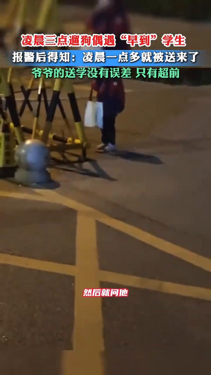 凌晨三点遛狗偶遇