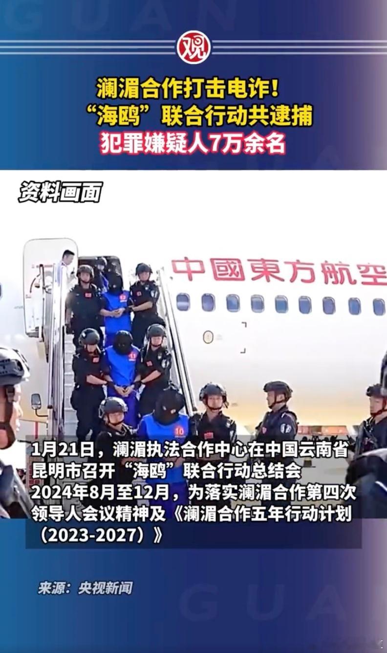 海鸥联合行动逮捕嫌犯7万余名  这个画面怎么这么奇特，破获电诈案件160余起，解