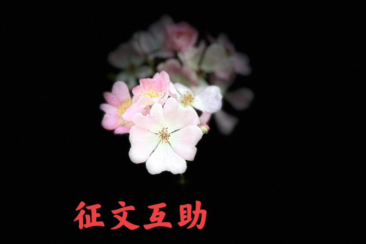 链接合集～
需要助力的征文都在这了，友友就不用往下翻了，刷到的友友点开助力一下，