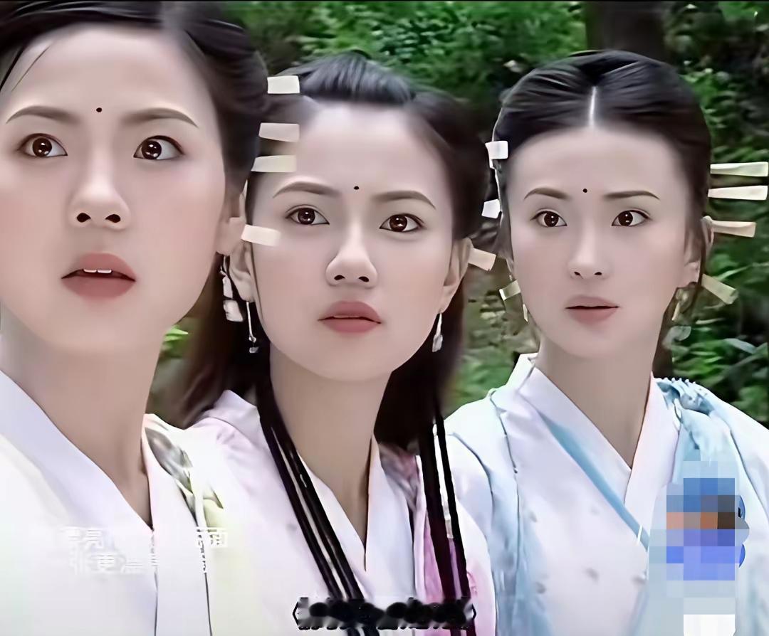 峨眉派应该改名叫做仙女派吧！讲真，原著里周芷若秀如芝兰，出尘如仙，颜值确实很高。