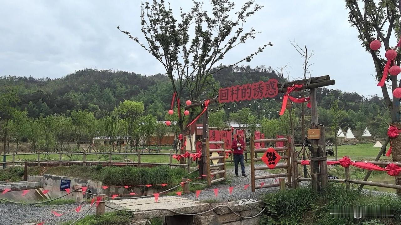 别人都是回家的诱惑，老baby们回家是回村的诱惑。节目组是懂亮点的。
万物复苏，