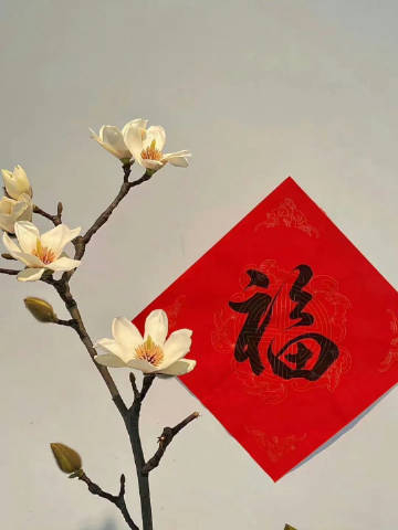 “没有一夜长大的树，也没有一步通天的路” ​ ​​​