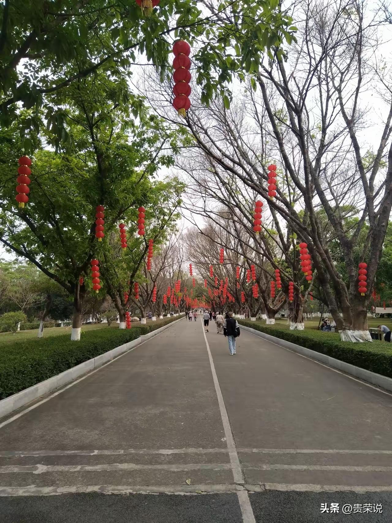 现在的养老，真的有点活受罪。
过去老人走，多半是寿终正寝，临了那几天，儿女守在床