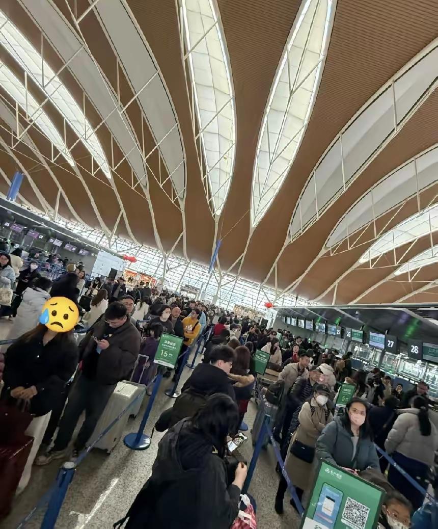 在中国的日本人，
之所以不走，
不是因为走不了，而是压根儿就
没想走，别以为他们