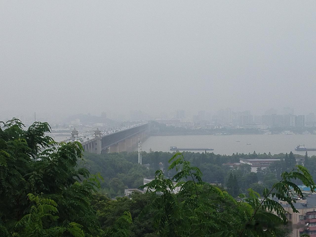 一桥飞架南北，天堑变通途。
烟雨莽苍苍，龟蛇锁大江。
今天在暴雨中，小编登顶龟山