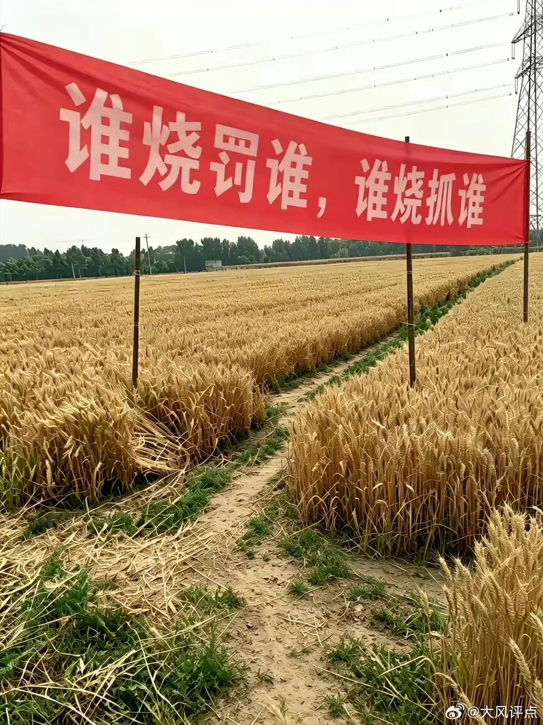 这要是放在过去，都是倒着念，会不会出大事