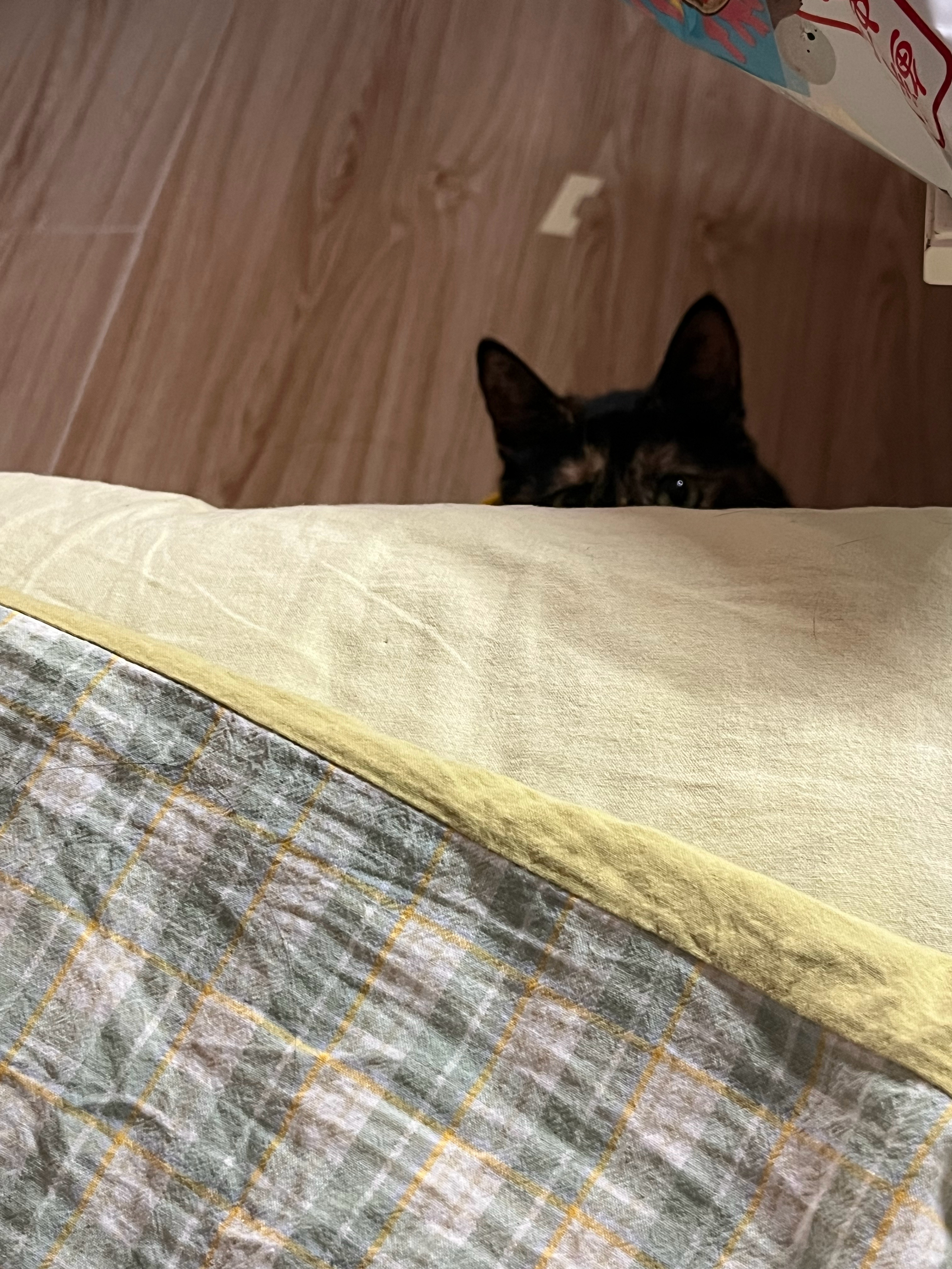 👀 ​​​