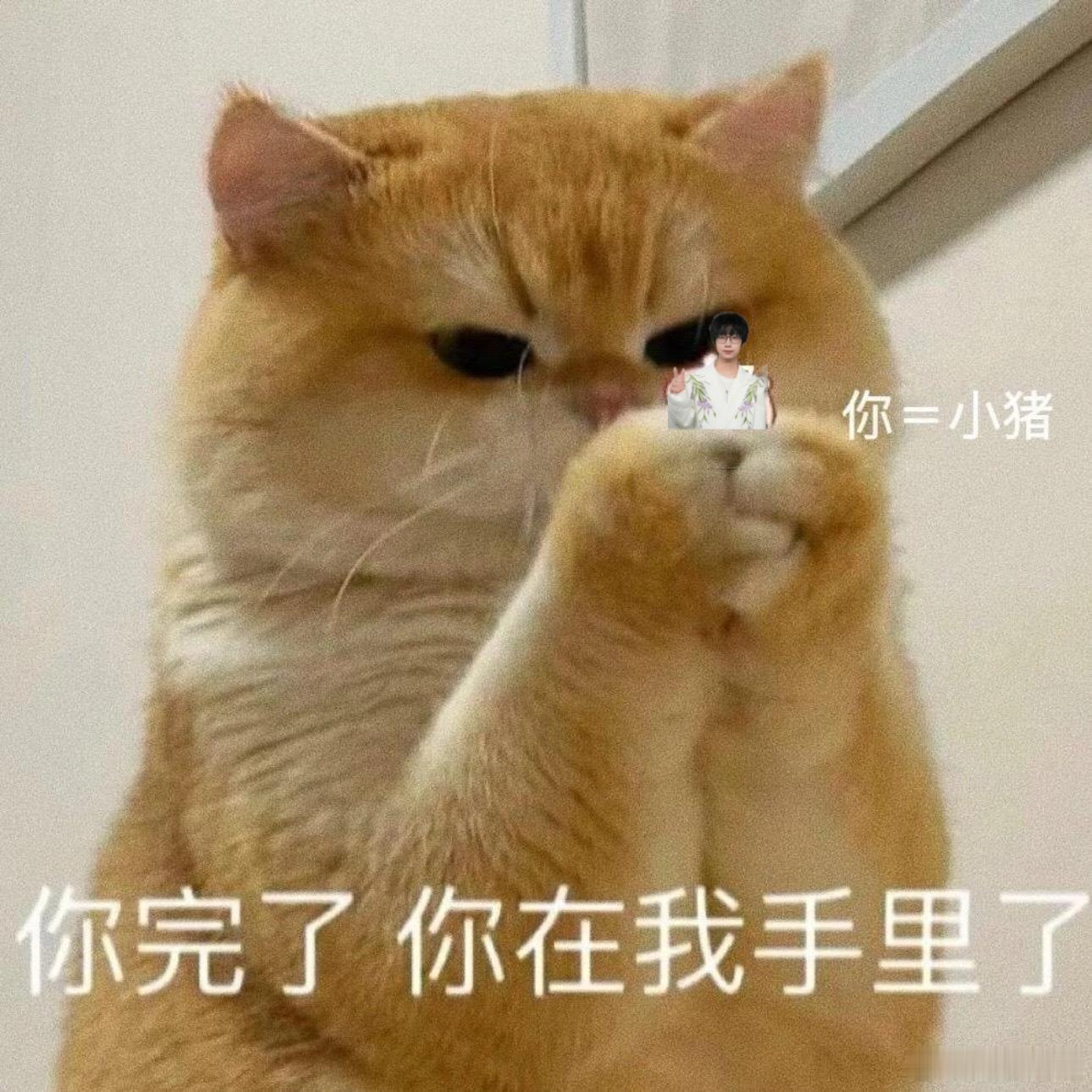 有没有阳丝宝宝有计划参加林恒生日当天的礼物车队的，送这个纸短情长，有的话dd我，