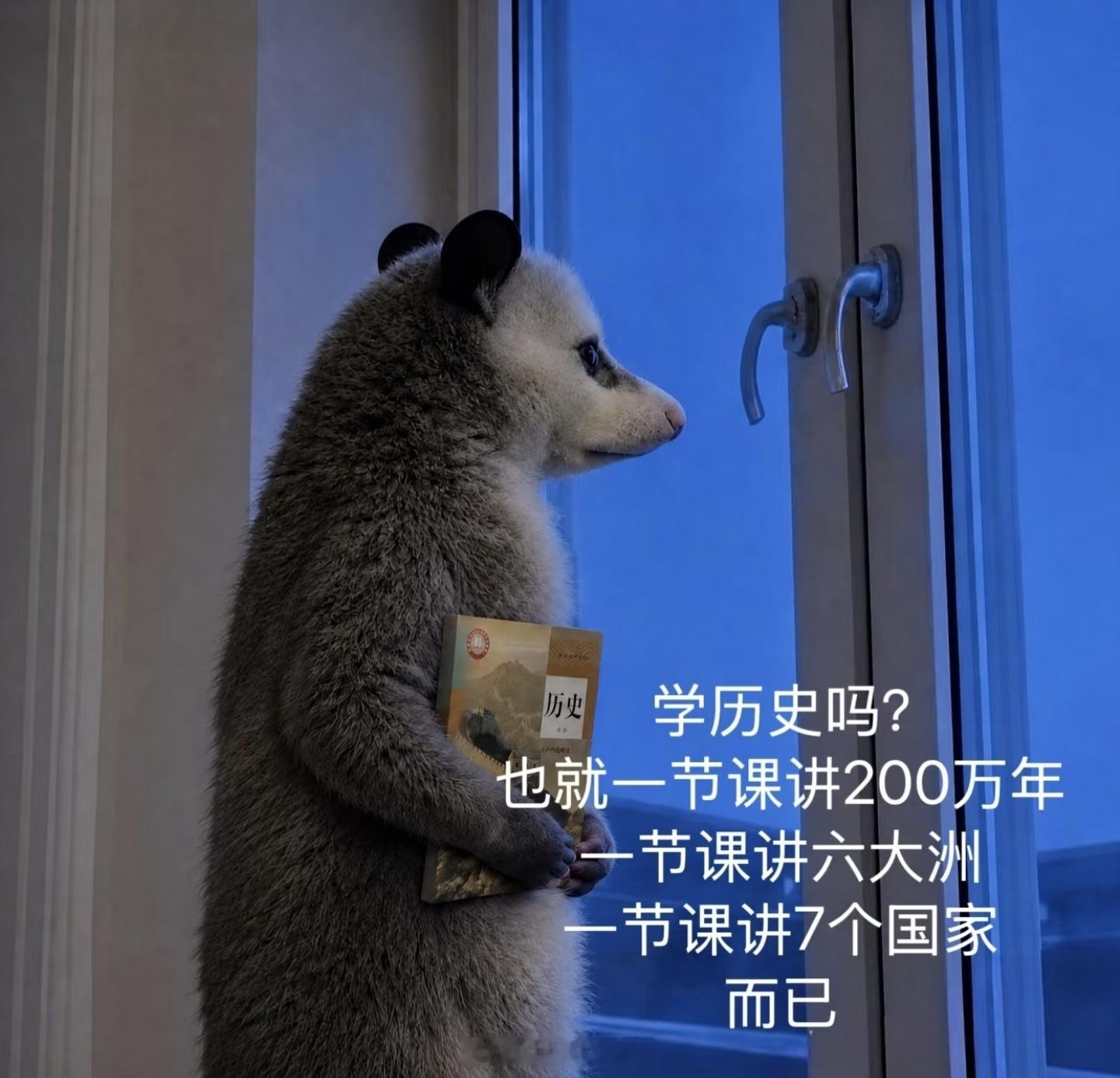 历史一卷 创新题给我创飞了今天上午同事跟同事聊高考，我还说我永远忘不了以前历史考
