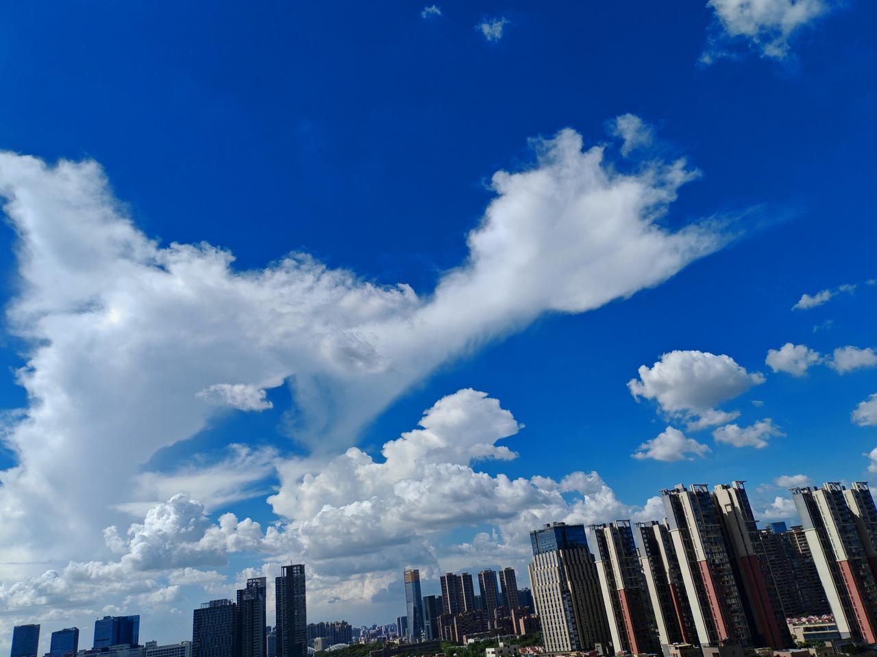 晴空万里云絮轻扬，
风漫天际，
抬眼皆是温柔干净好风光，
满目澄澈治愈人心。