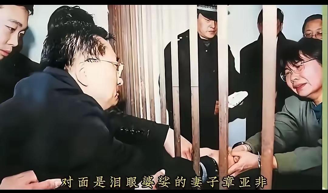 2001年10月，马向东被执行死刑前，在看守所与妻子章亚非隔着铁栏握手告别，妻子