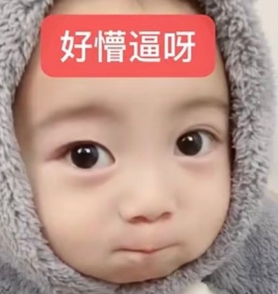 好懵逼呀