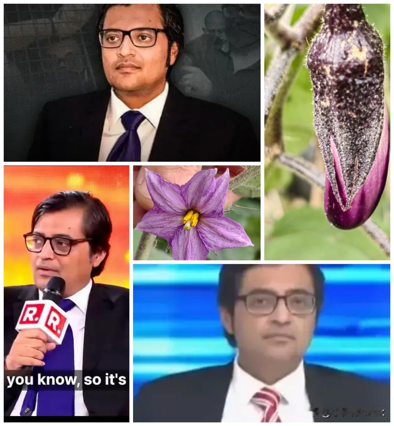 昨天刚刚说过甲亢姐“辩机”，今天再来看看“甲亢哥”是如何硬拗“辩机”的[灵光一闪