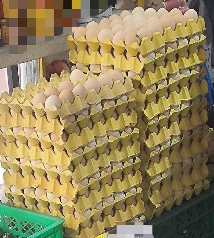 今天上菜市场买鸡蛋，发现鸡蛋价格已经涨到五元了。

菜摊的女老板说，最低曾低到过