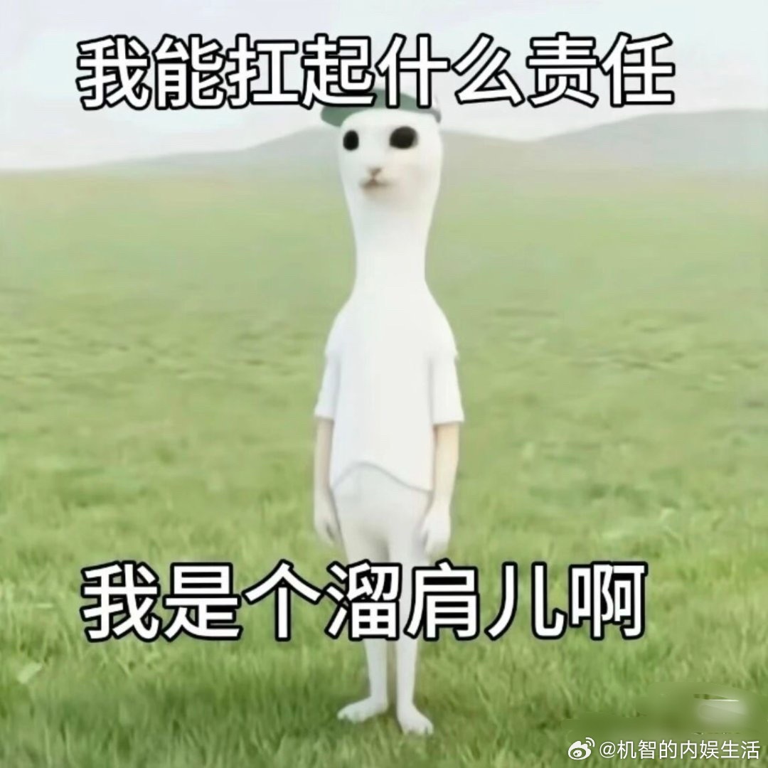 rfs没办法直播果然又不走红毯，然后白玉兰电视播出的时间也比现场晚一个多小时，不