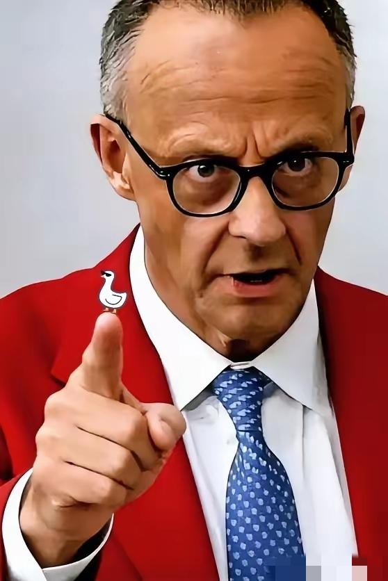 出头鸟来了！
德国总理今天明确宣布：
1月29日，德国总理默茨在联邦议院发表外交