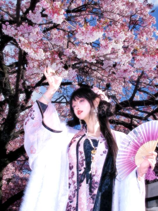春日的初吻🌸热海樱花
