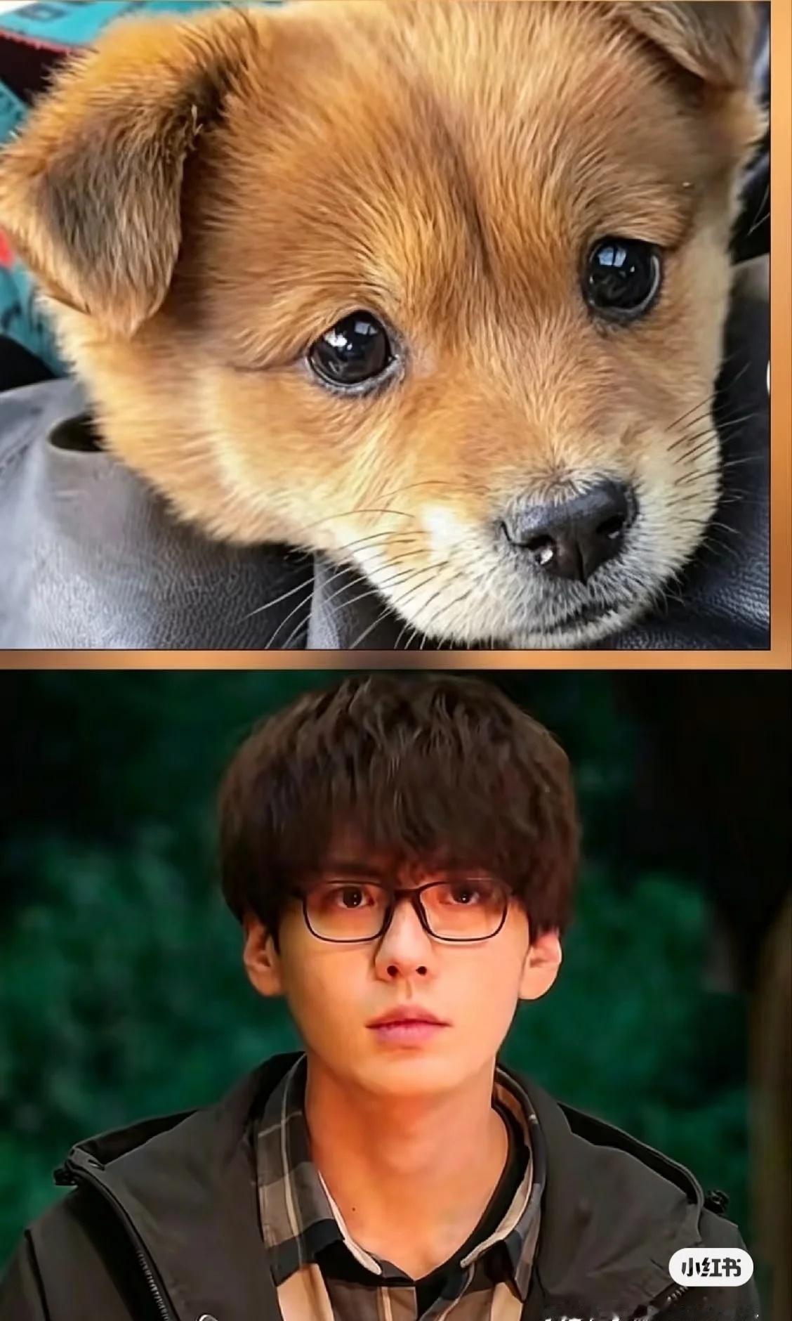 现实生活中到底有没有长成这样的男生啊
5月2号连夜去把《消失的人》看了
完全冲着
