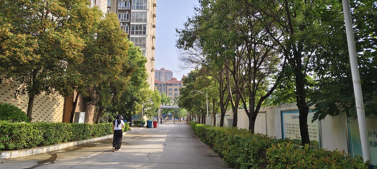 小区桂香漫街巷，日常烟火藏温柔
 
初秋时节走在小区步道，扑面而来的桂花香揉碎在