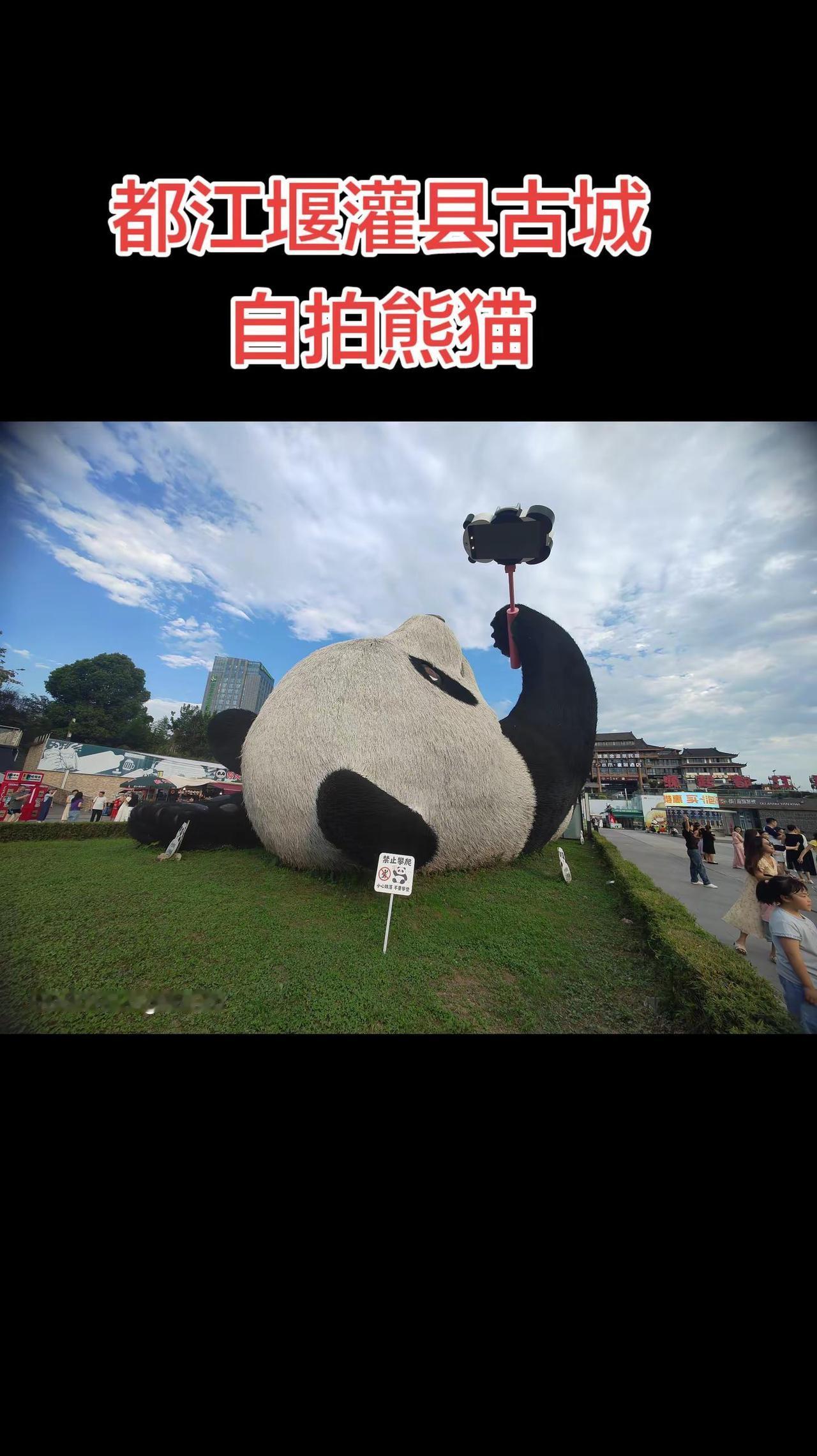 自拍熊猫。大熊猫 城市地标打卡