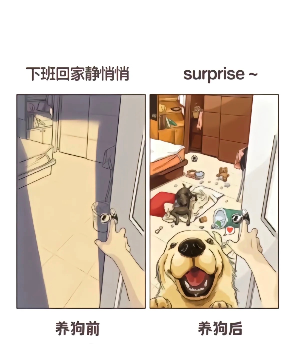 养狗的意义 