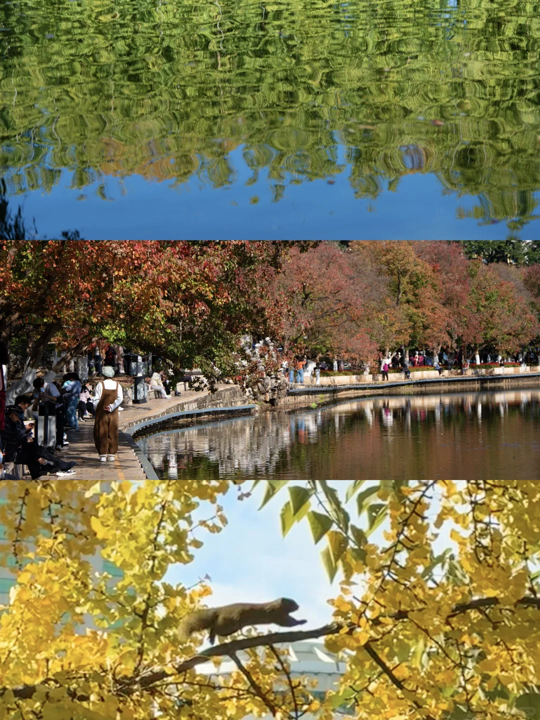 🔴🟡🟢翠湖还是美得太权威了！超美点位攻略