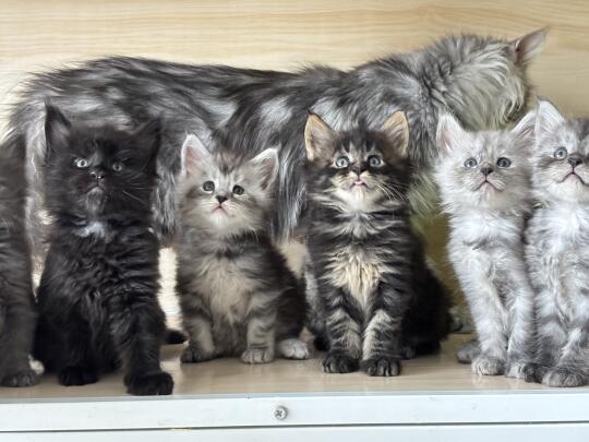 拍完心都化了🥰