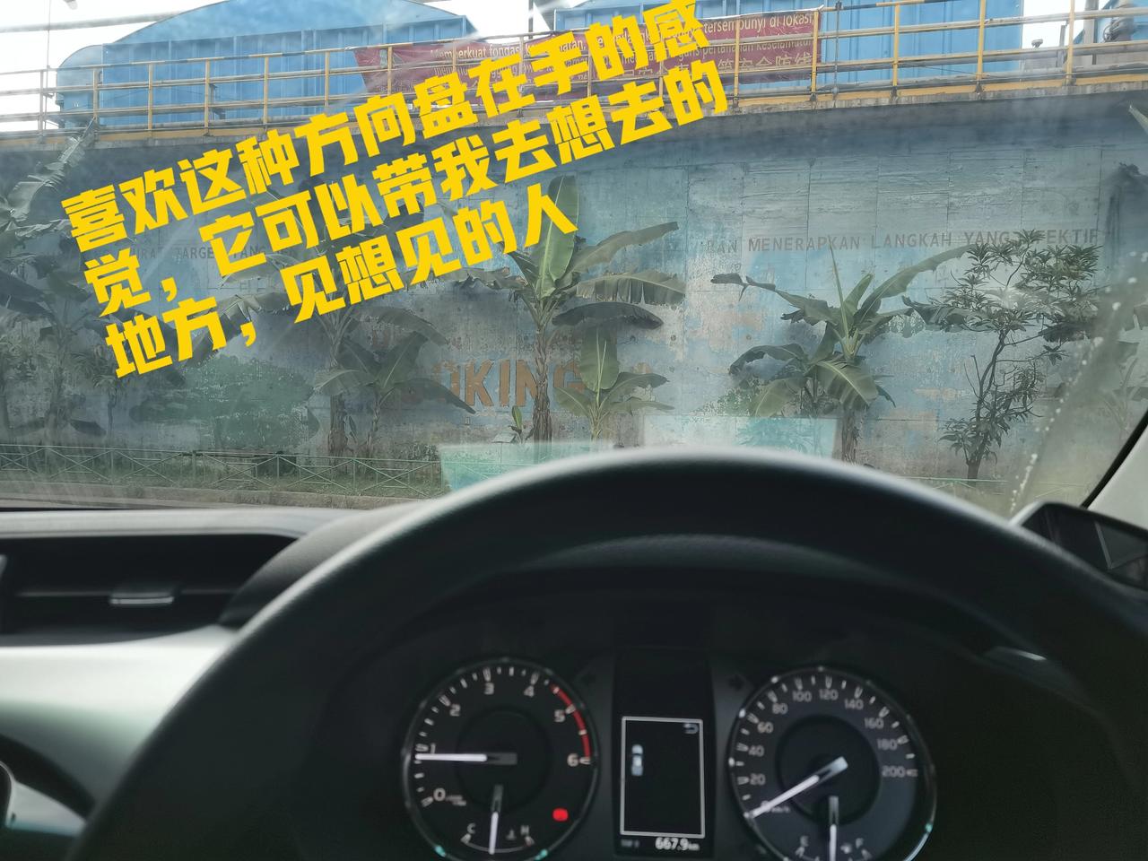 别怕！50几岁正是奋斗的好年纪
53岁，给自己画一幅生活像
已婚，原配，绝经，