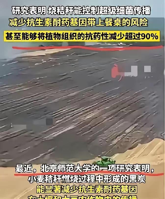 火可烧虫卵，草木灰可杀虫！中国千百年农垦经验竟被一个日本间谍给忽悠了，后面还有专