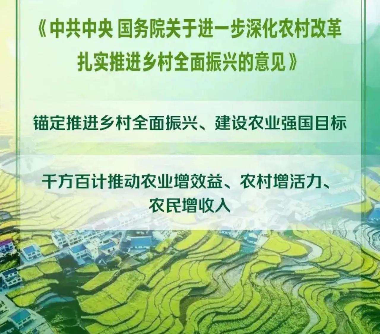 【重磅！中央首提“农业新质生产力”，三大技术重塑中国农业】

2025年中央一号