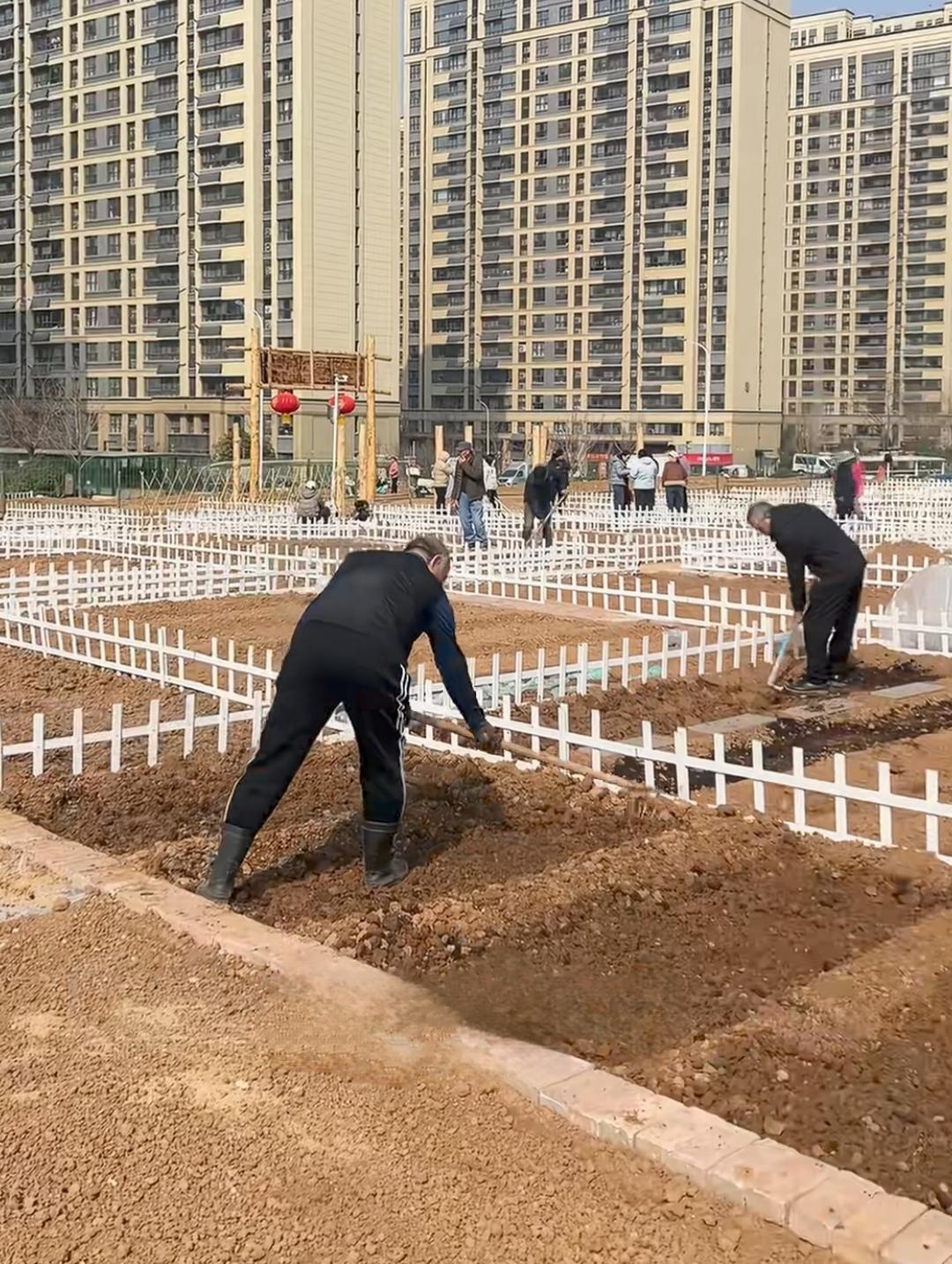 济南共享菜地项目，没想到市场反馈这么好！

三十平米一块地，一年一千多元，年轻父