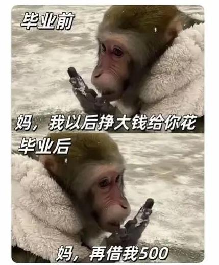 大家说现在人们不愿意生小孩是不是发现生小孩根本不是防老，是要养老防儿子。你想想看