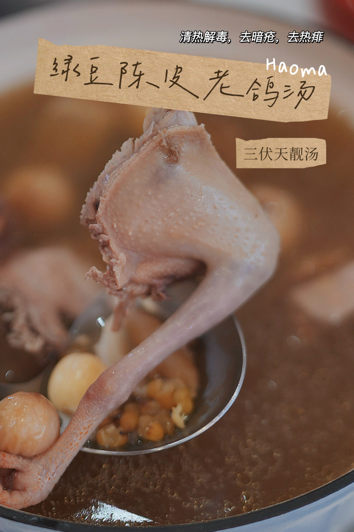 干不完的活今晚的皓妈靓汤 最近你们都一定煲来喝的汤 绿豆陈皮煲老鸽 