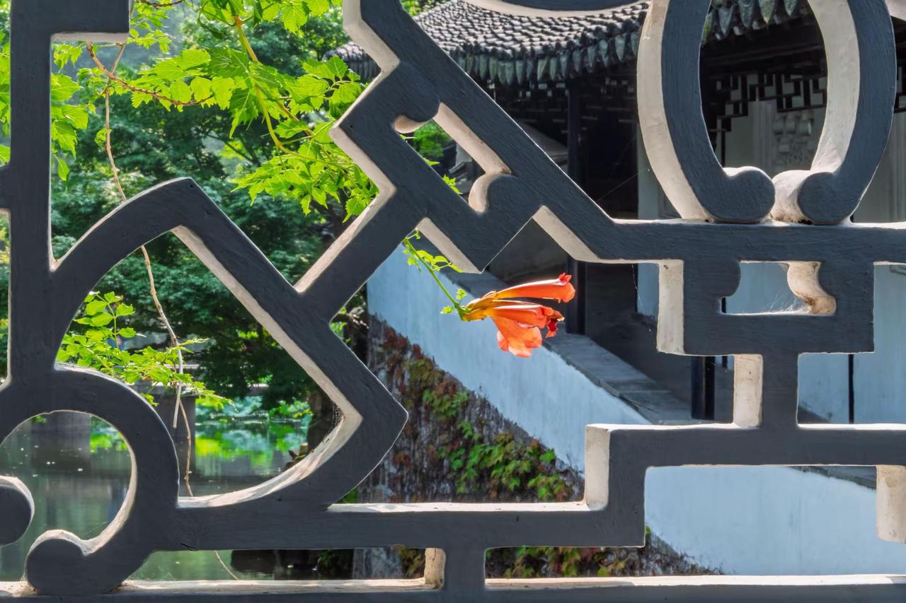 苏州拙政园。苏州拙政园苏式窗景 中式美学之框景 中国建筑框景之美 苏式花窗