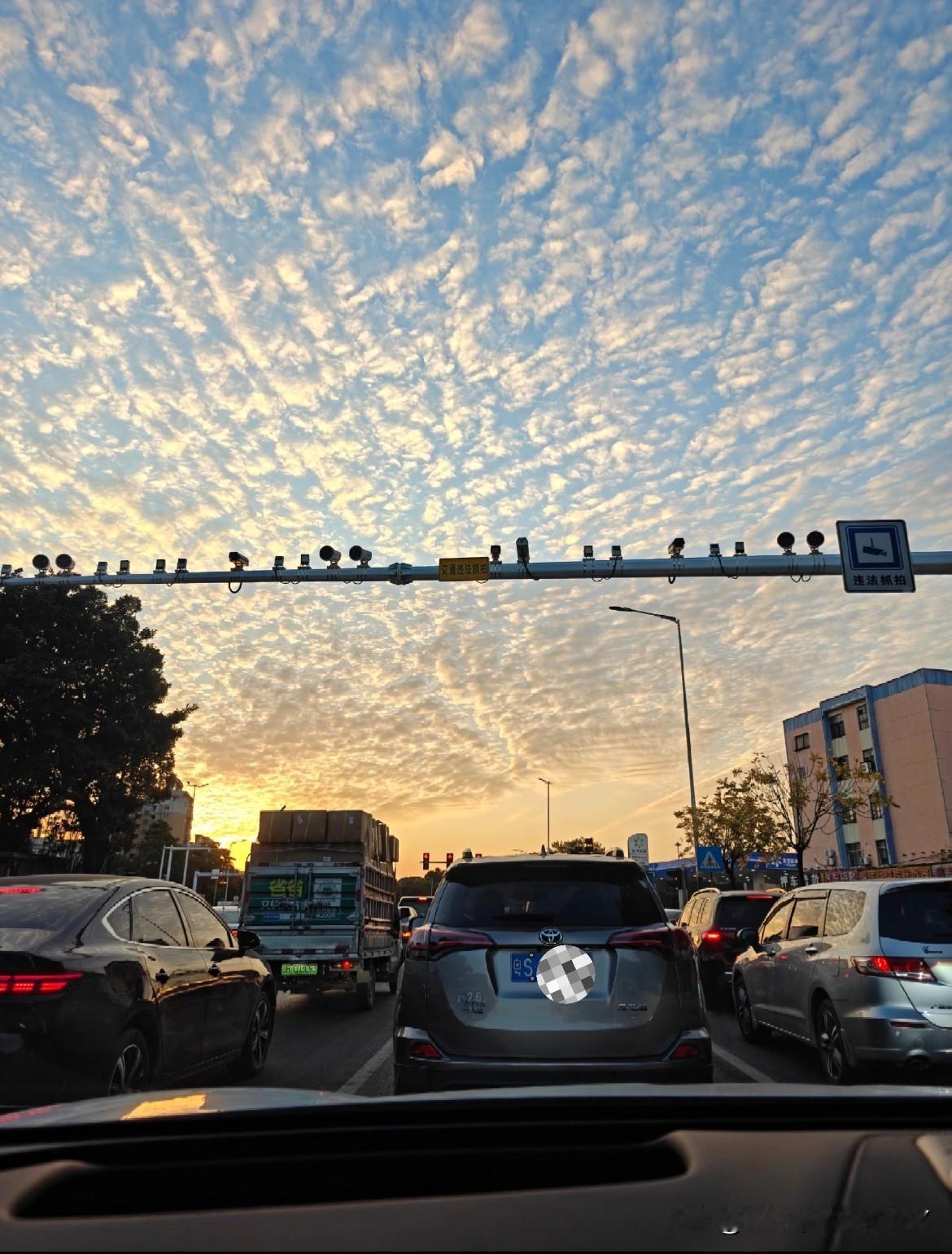 ‼️‼️自从我拥有了自己的车，我的生活发生了翻天覆地的变化。每天早晨，当我打开车