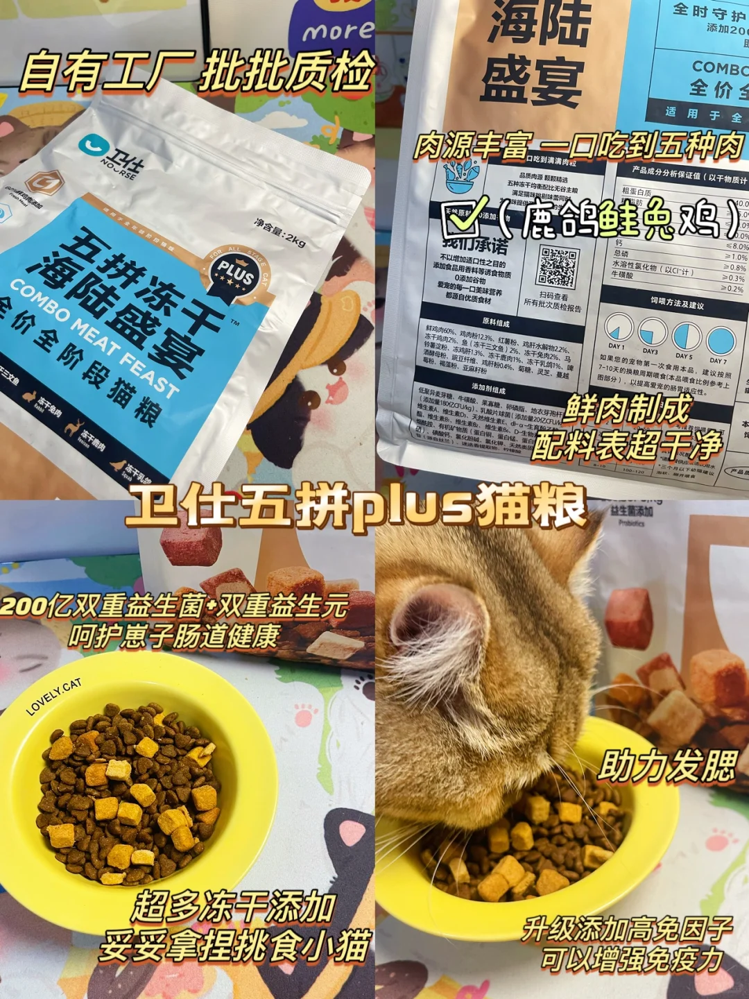 双猫家庭之双十一囤货篇