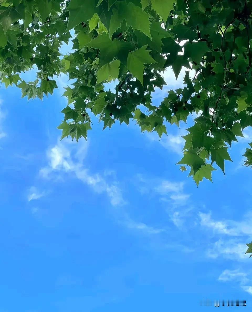 #上联:天高云淡山河壮，邀对下联？# 
上联：天高云淡山河壮，
下联：海阔水深任