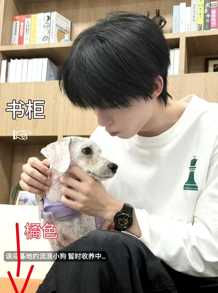 所以是一个地方吗？吓死人了 