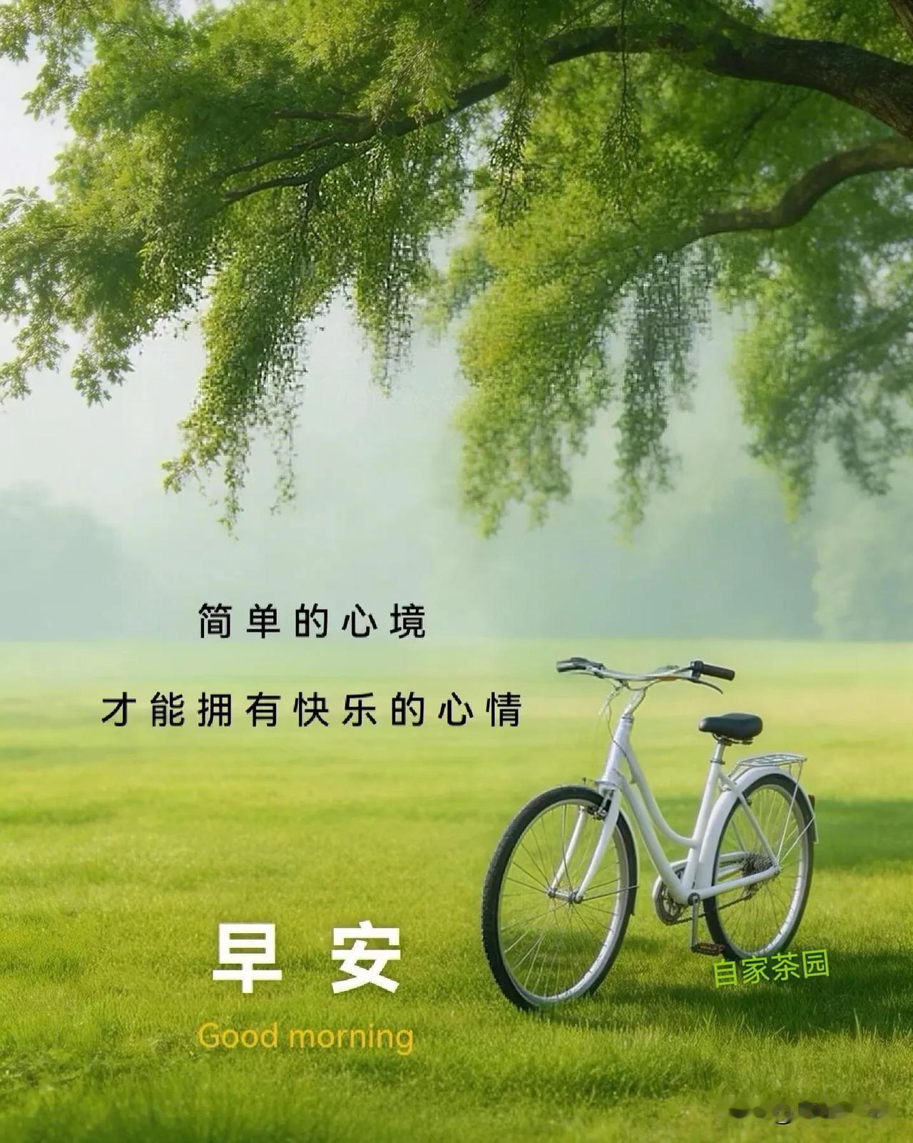 清晨安康，不必追赶星光，你本身就足够温暖。