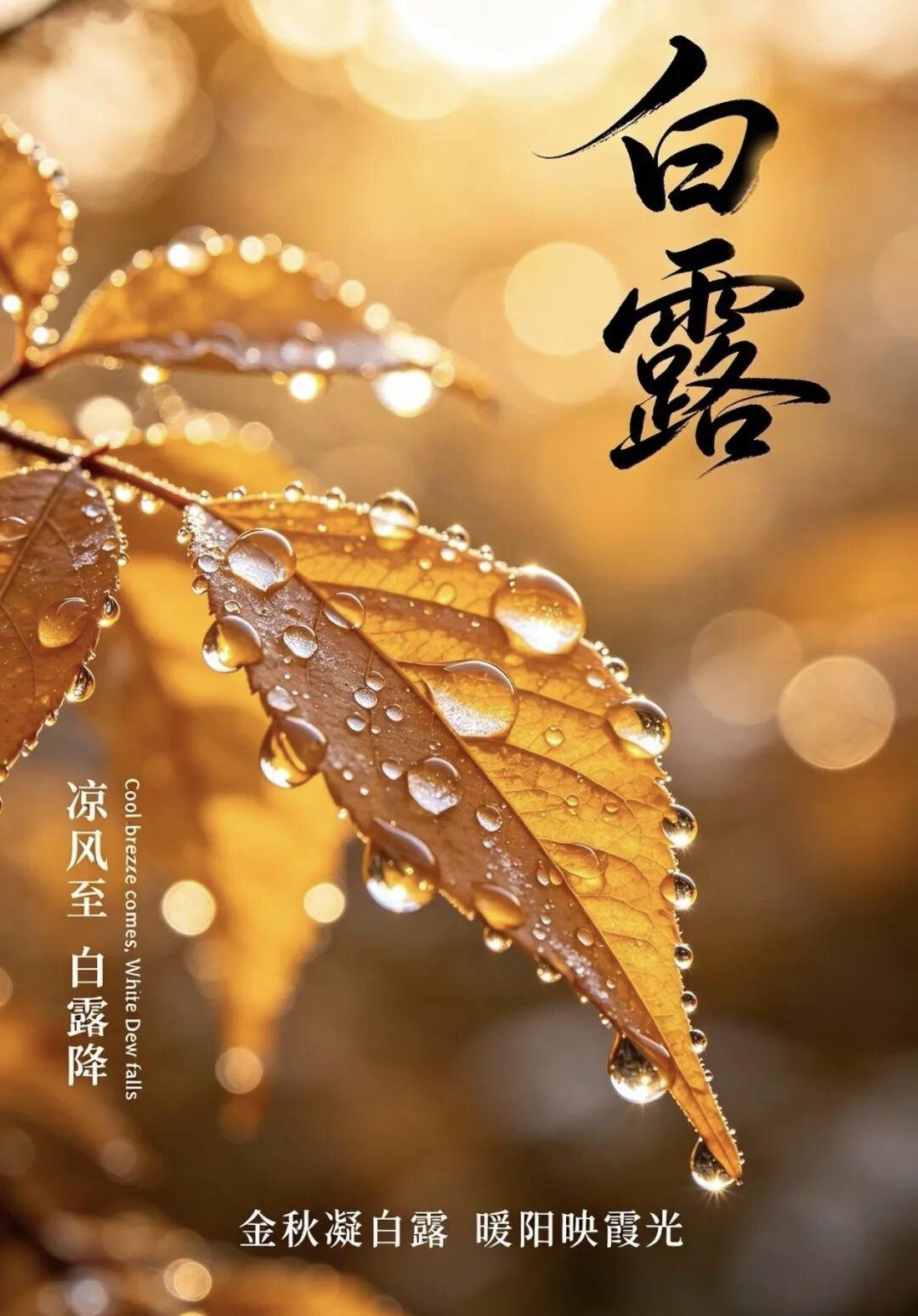 白露节气应注意⚠️
事项：
1. 及时添衣防凉：白露后昼夜温差拉大，早晚出门别再