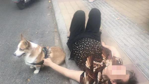 飞来“狗”祸？成都一个社区的一位老太太被狗撞骨折了？ 向狗主人索赔6.2万元
