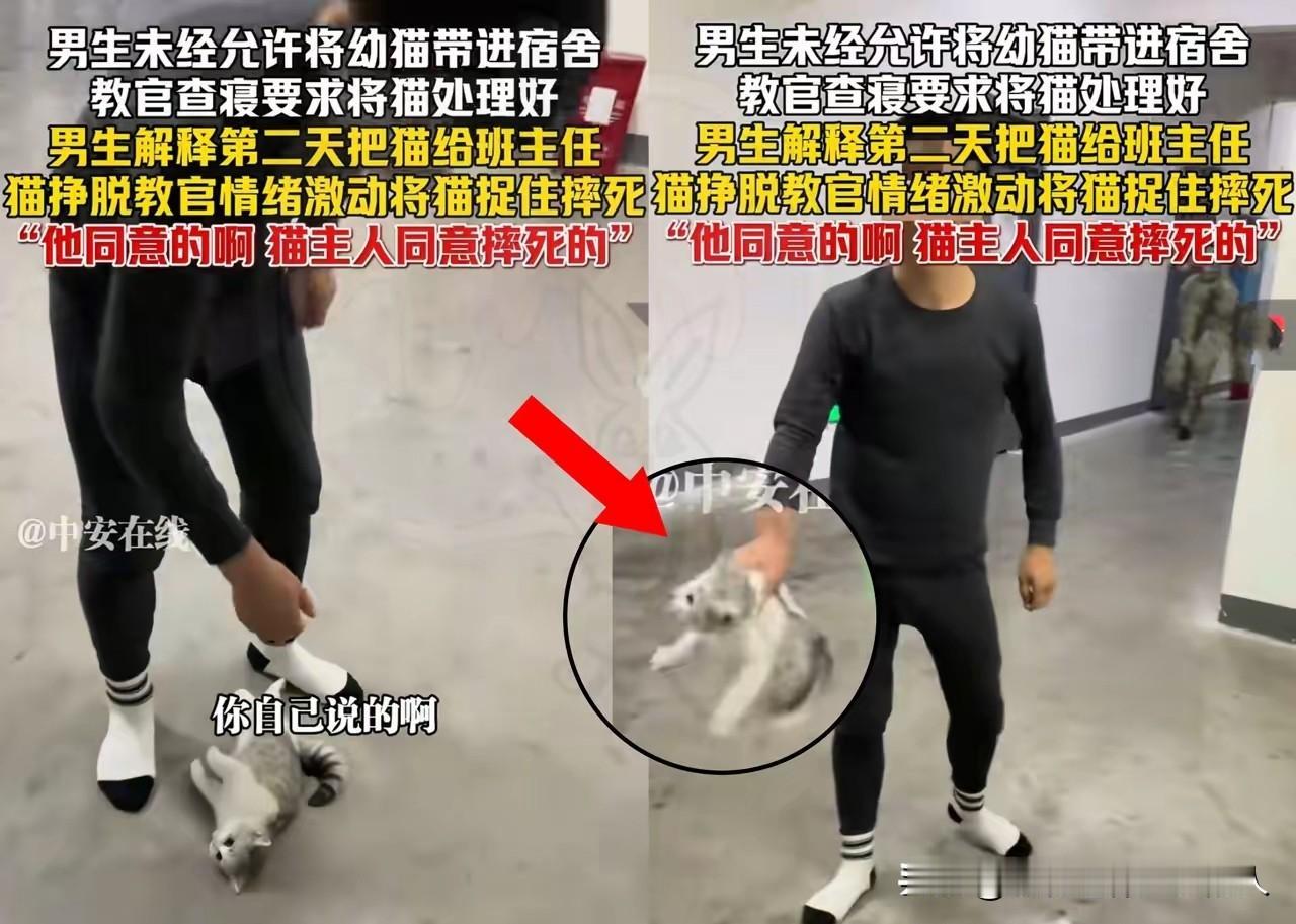 一直看完视频，才发现坏的人，不只是教官。

那个养猫的学生，一直举着手机在拍视频