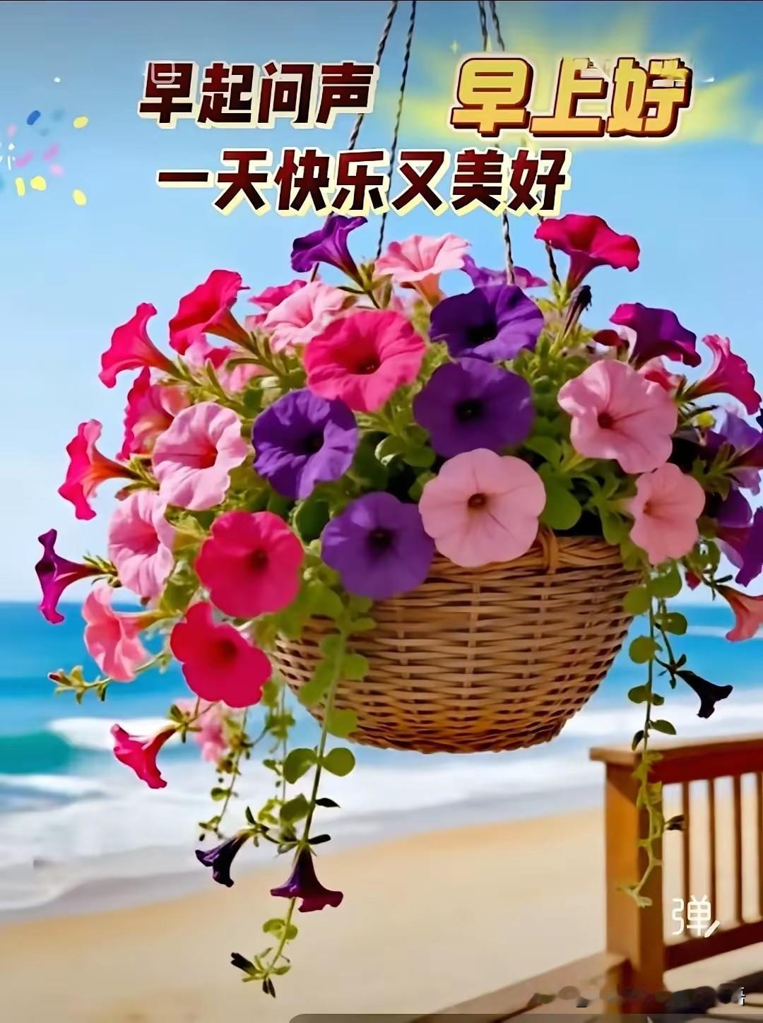 早安好心情，花篮迎朝阳！早上好🌞🌸🌼花卉早安语
