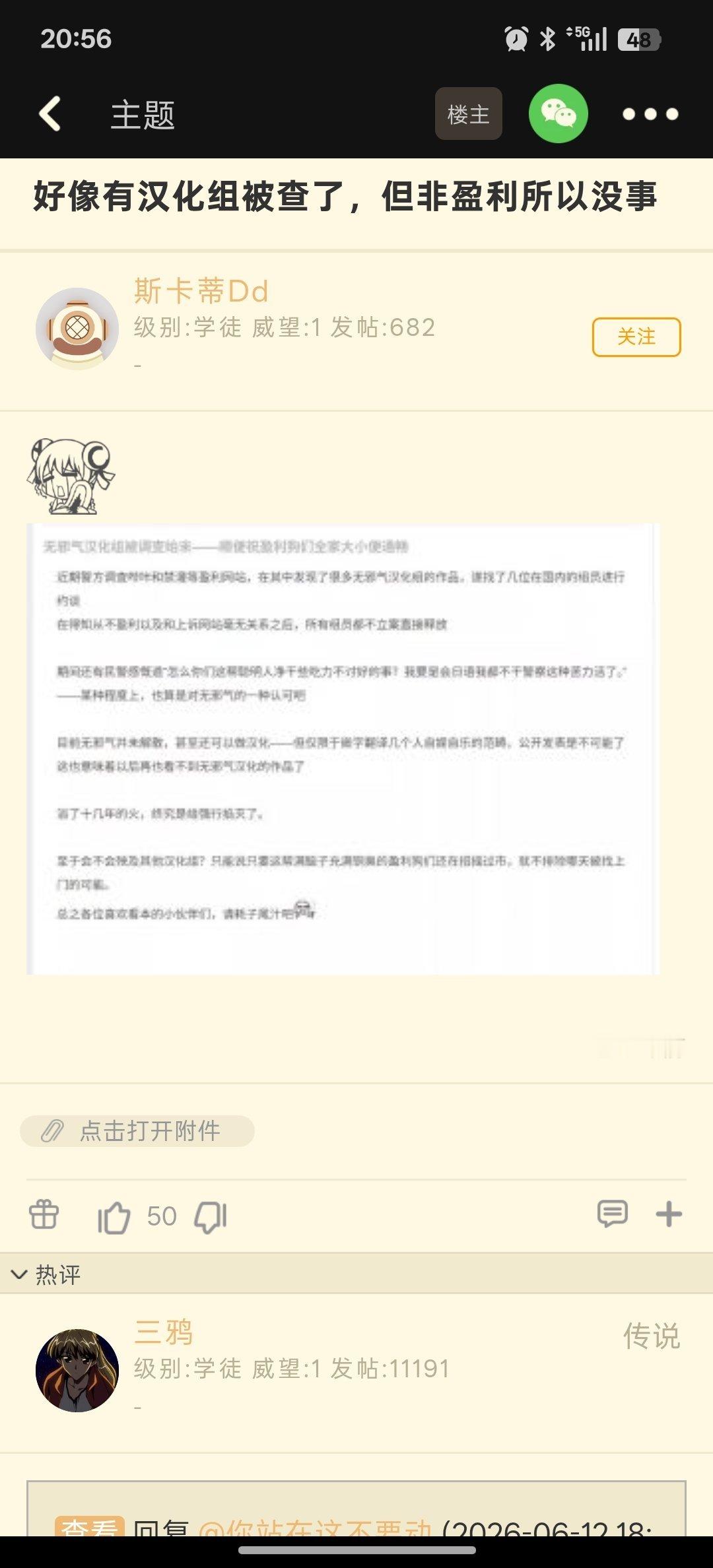 无邪气汉化组被查 