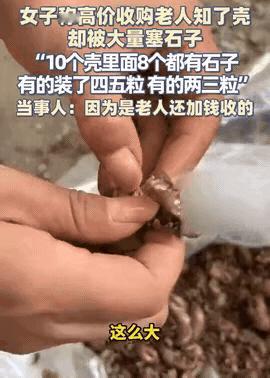 气人了！陕西一女子心疼卖知了壳的老人不容易，主动加价到330元一斤收购，爽快付了