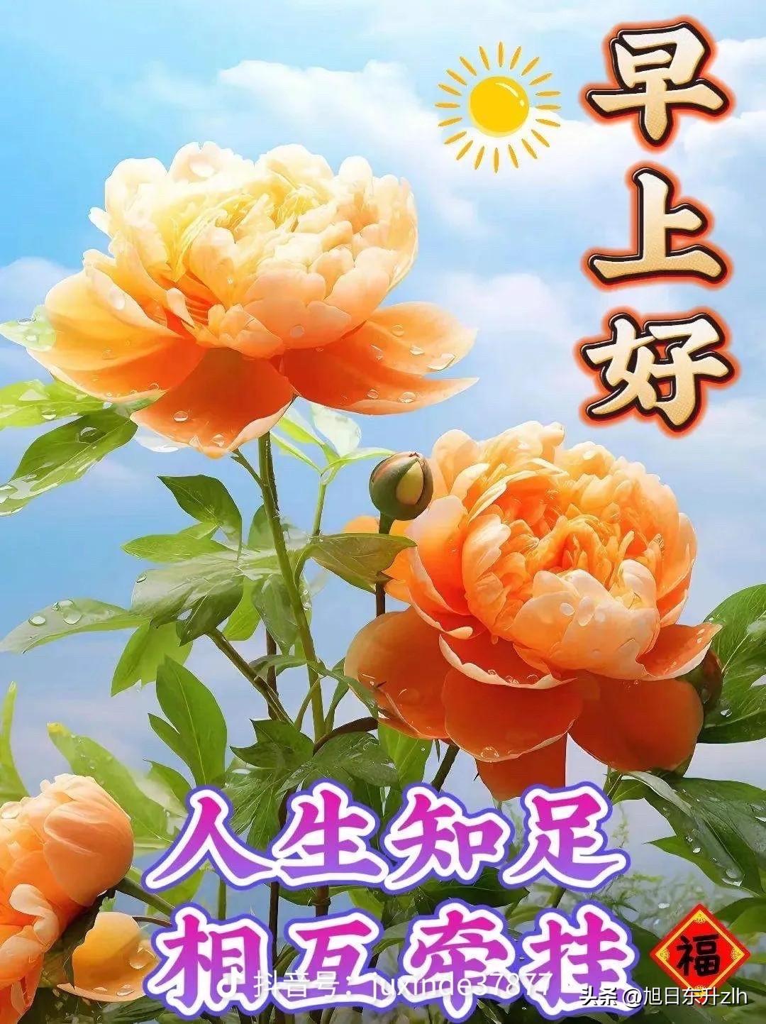 早上好
我的朋友
你我虽然海角天涯
但祝福和问候始终如一
这跨越山水的情结
永远