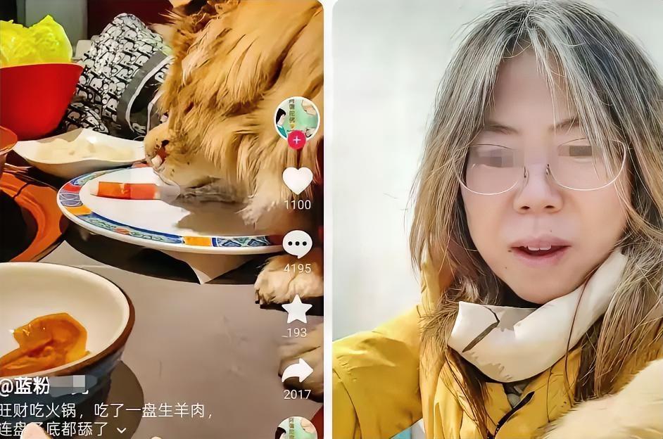 女子带狗上桌吃涮肉后续：女子删视频，店铺决定索赔，评论区炸了
​几百万的赔偿单砸