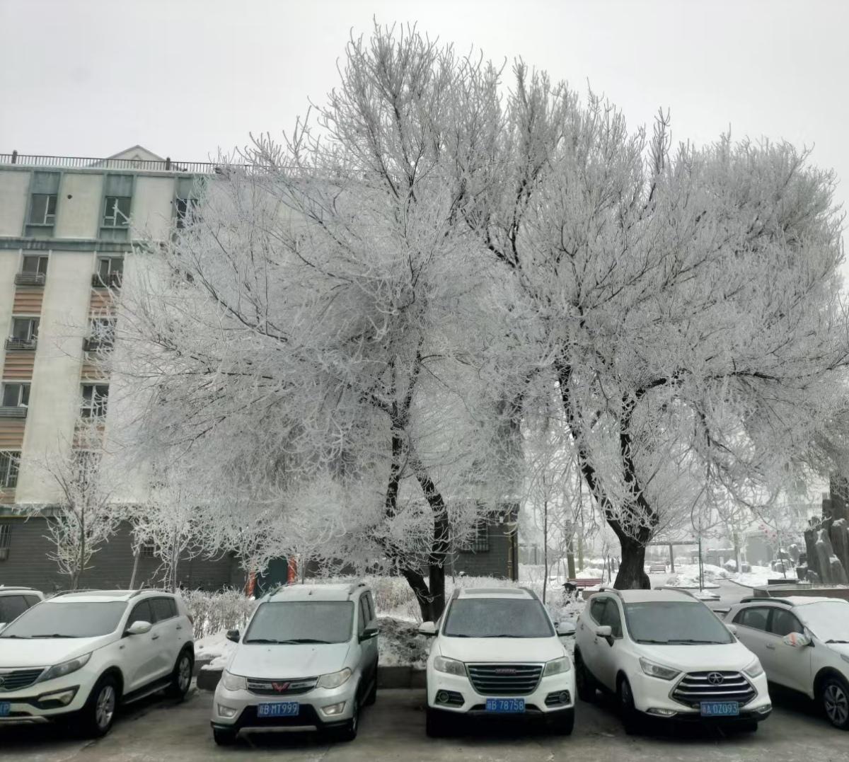 上联：夏雨荷花艳，下联才子请冬霜柳树白。