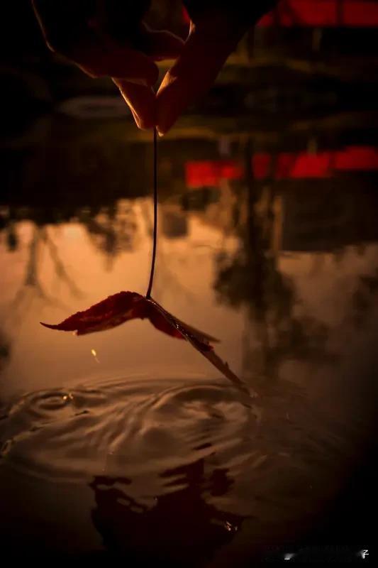 人生不如意十有八九，就像一场旅行中突然袭来的暴风雨。面对它，换个角度看问题很重要